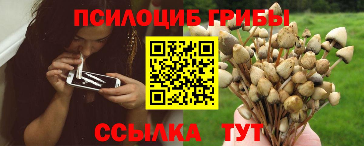 Галлюциногенные грибы прущие грибы  Вход с VPN  Северобайкальск 